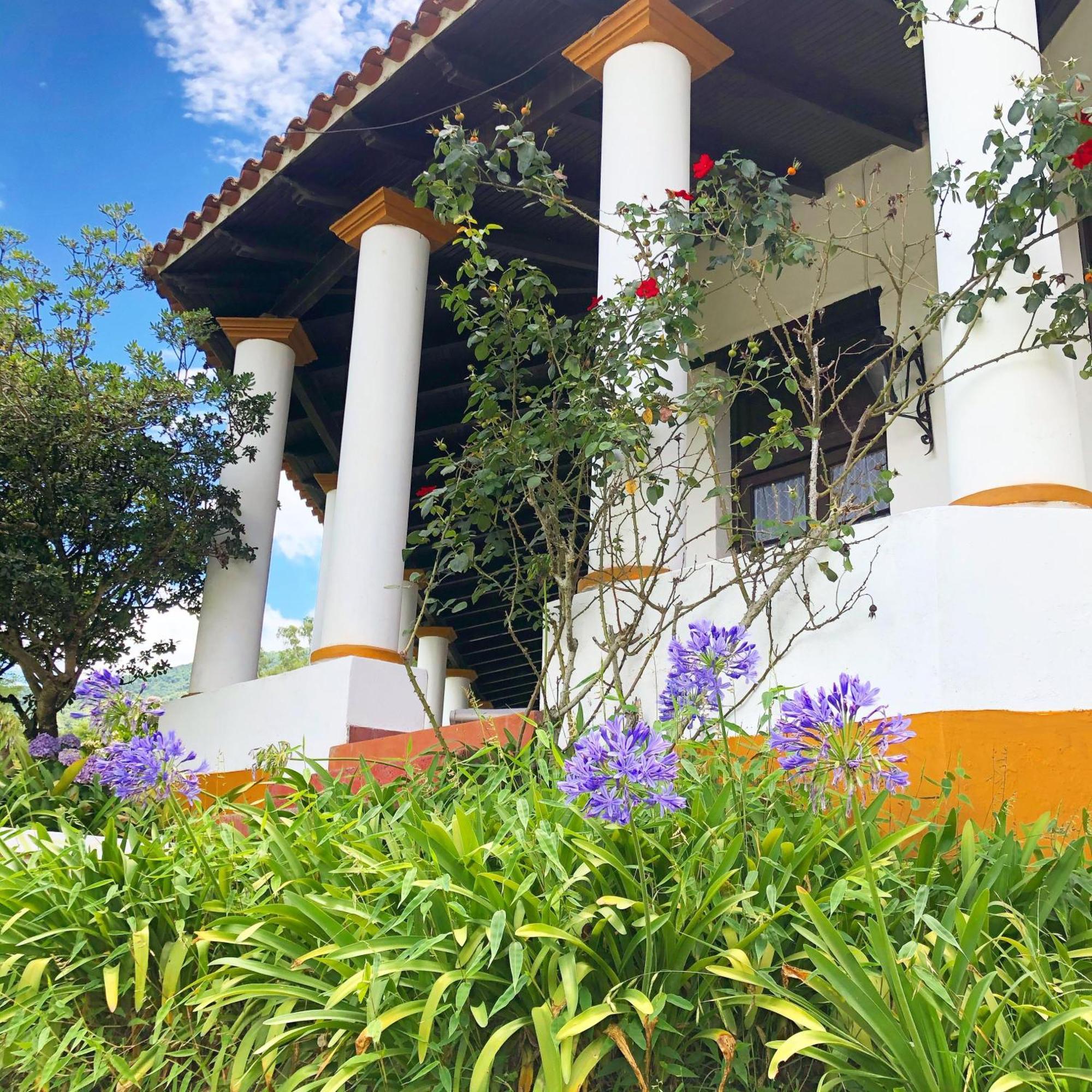 Camelias En San Lorenzo, Holiday home *